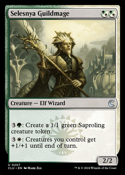 207-selesnyaguildmage.jpg