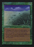 208-lifelace.jpg
