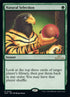 208-naturalselection.jpg