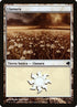 208-plains.jpg