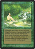 208-sylvanparadise.jpg