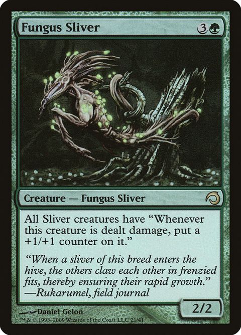 21-fungussliver.jpg