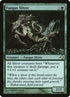 21-fungussliver.jpg