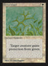21-greenward.jpg