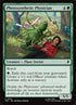 210-photosyntheticphysician