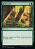 210-regrowth.jpg