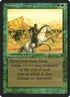 211-whirlingdervish.jpg