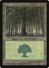 212-forest.jpg