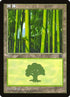 212s-forest.jpg