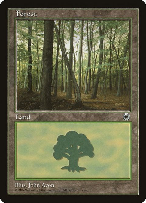 213-forest.jpg