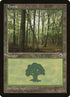 213-forest.jpg