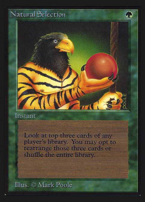 213-naturalselection.jpg