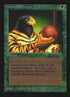 213-naturalselection.jpg