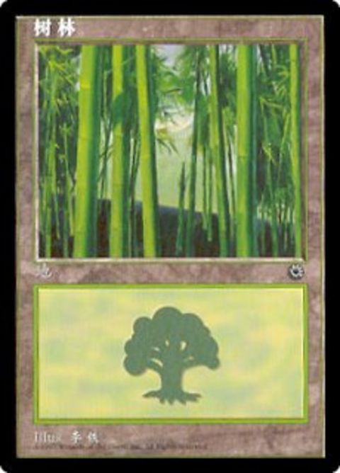 213s-forest.jpg