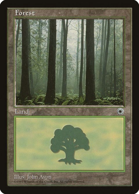 214-forest.jpg