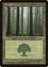 214-forest.jpg