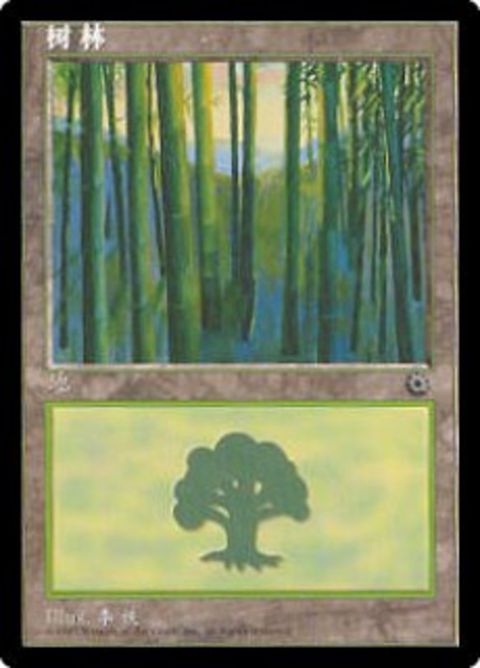 214s-forest.jpg