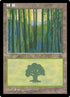 214s-forest.jpg