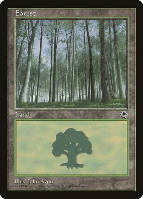 215-forest.jpg