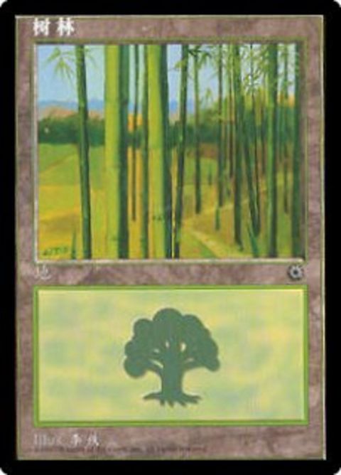 215s-forest.jpg
