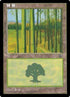 215s-forest.jpg