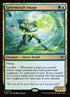 217-genemorphimago