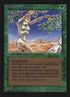 217-shanodindryads.jpg