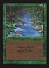 218-streamoflife.jpg