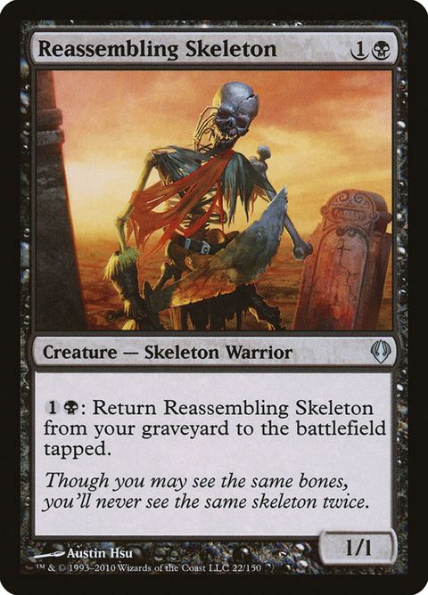 22-reassemblingskeleton.jpg