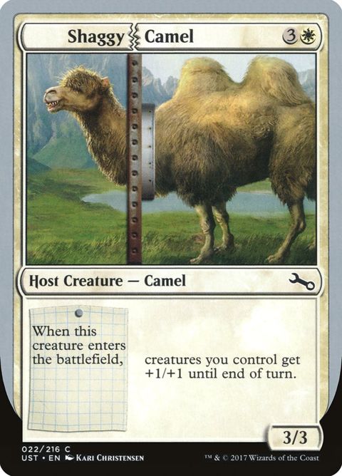 22-shaggycamel.jpg