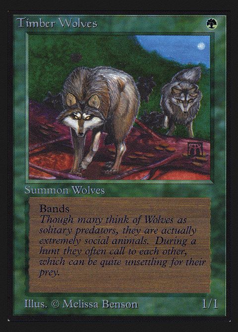 220-timberwolves.jpg