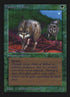 220-timberwolves.jpg