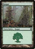 221-forest.jpg