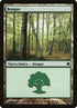 222-forest.jpg