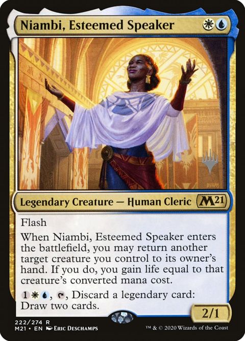 222p-niambiesteemedspeaker.jpg