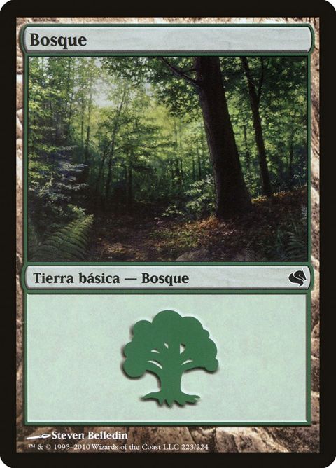 223-forest.jpg