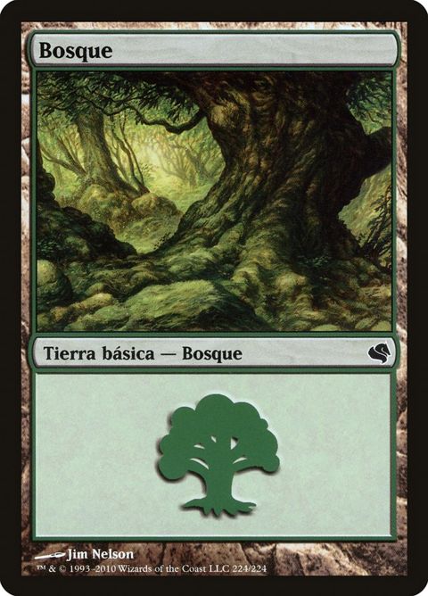 224-forest.jpg