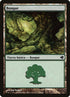 224-forest.jpg
