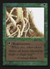224-wallofbrambles.jpg