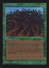 226-wallofwood.jpg