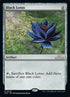 228-blacklotus.jpg