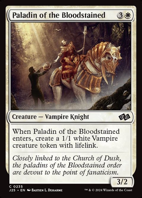 235-paladinofthebloodstained