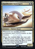 239s-sandbenderscavengers