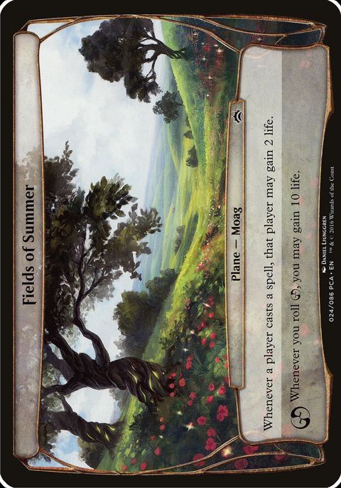 24-fieldsofsummer.jpg