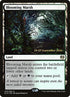 243s-bloomingmarsh.jpg