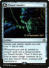 243s-primalamuletprimalwellspring.jpg