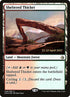 248s-shelteredthicket.jpg