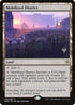 249p-mobilizeddistrict.jpg