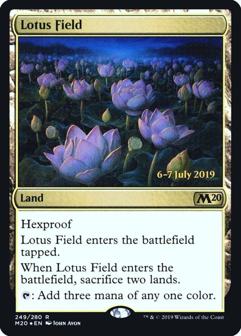 249s-lotusfield