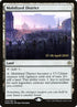 249s-mobilizeddistrict.jpg